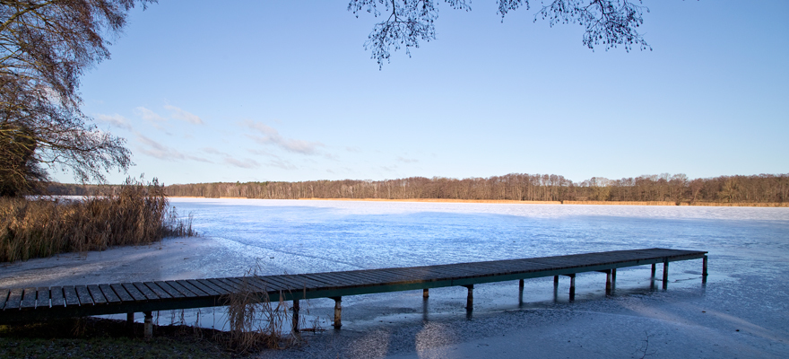 Nach einem ersehnten Regen