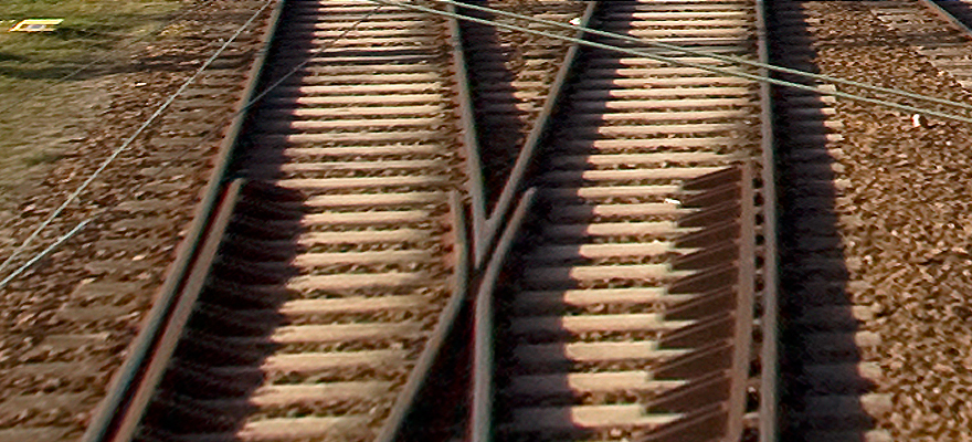 Nach einem ersehnten Regen