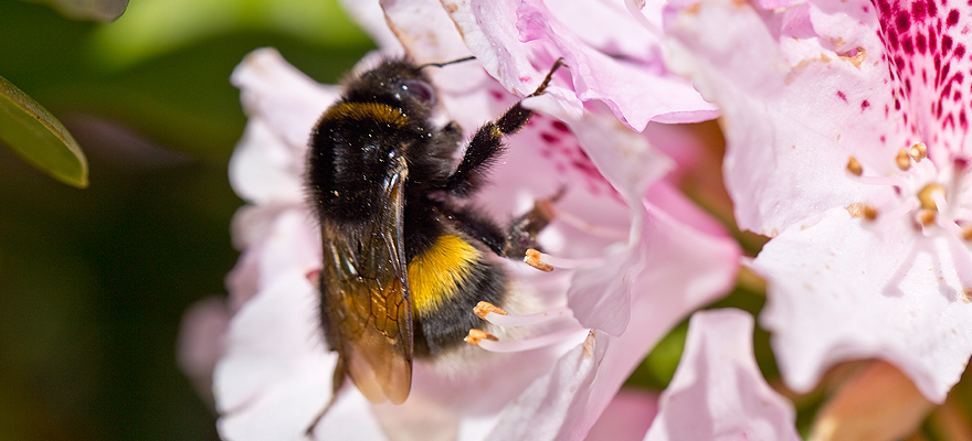 Nach einem ersehnten Regen