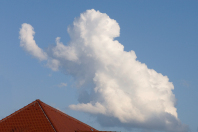 Pareidolie - Der Pudel mit meiner Bratwurst