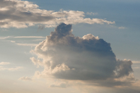 Pareidolie - Das abendliche Hasentreffen