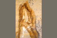 Pareidolie - Muster im Sandstein "Der Rufer"