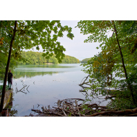 Der Liepnitzsee - urwüchsige Natur